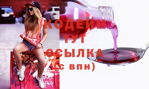 spice Гусь-Хрустальный